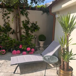 Wow Garden In The Heart Of Venice