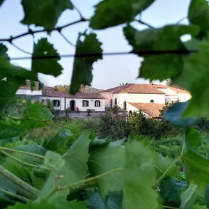 Etna Vakantiehuis
